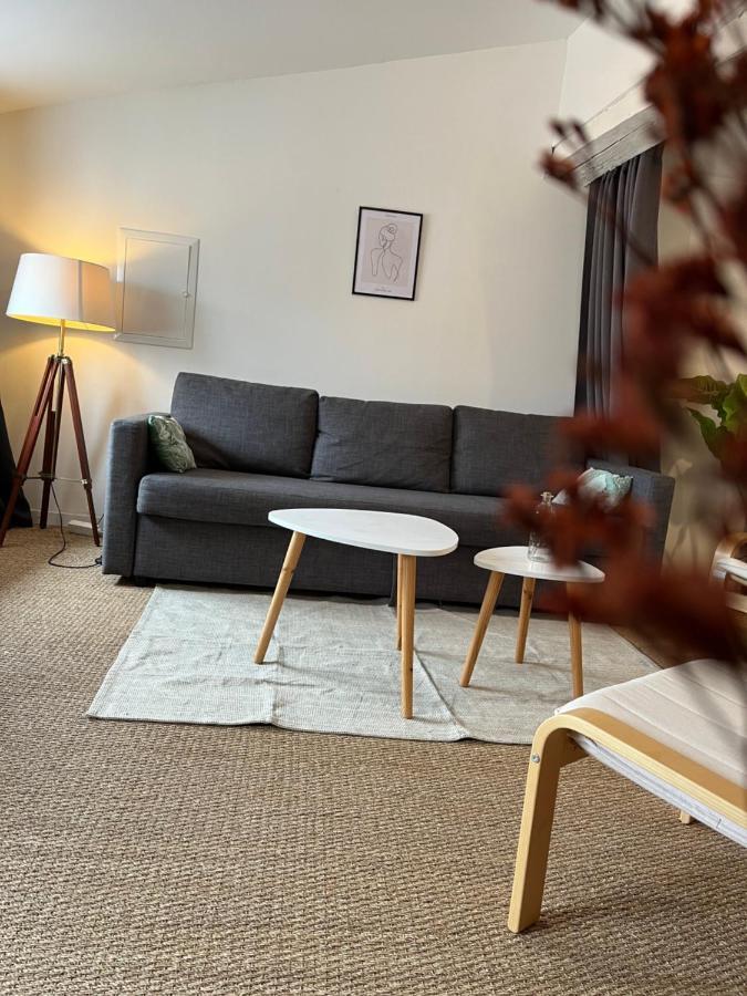 Apartmán Loft Cosy - Centre Historique Climatise Revel  Exteriér fotografie